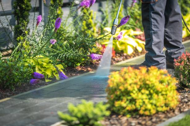Best Pre-Holiday Cleaning  in Grand Saline, TX